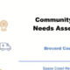 2019 Community Health Needs Assessment Report
